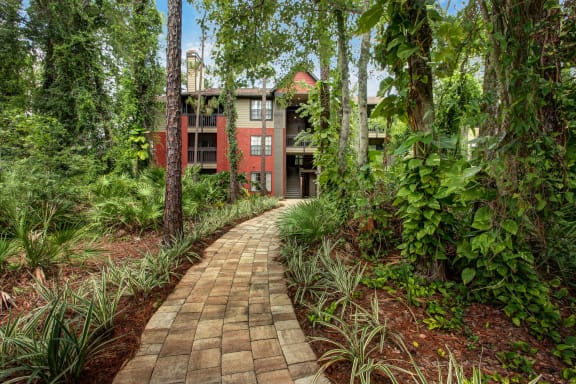 a path leading to a house in the woods at Timberwalk at Mandarin Apartment Homes, Florida, 32257