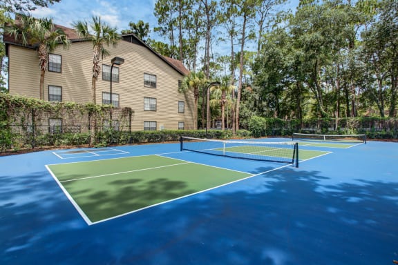 tennis courts at Timberwalk at Mandarin Apartment Homes, Florida, 32257