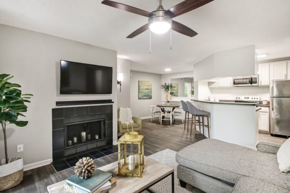 a living room with a fireplace and a tv at Timberwalk at Mandarin Apartment Homes, Florida, 32257