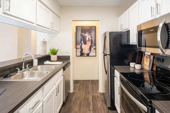 a kitchen with stainless steel appliances and a painting of a dog