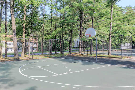 A basketball court surrounded by trees.