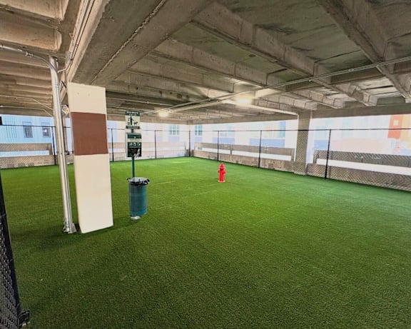 Covered dog park with artificial turf, a red fire hydrant, a bench, and a waste station inside the parking garage at SKY on Main Apartments in Downtown Kansas City, MO.