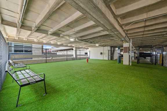 A large, empty room with a green carpet and a bench.