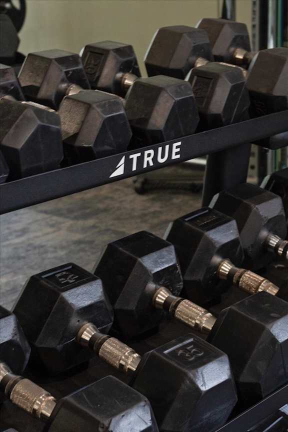 A set of black TRUE dumbbells are on a rack.