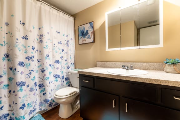 Bath vanity at Preston Court Apartments, Kansas, 66212