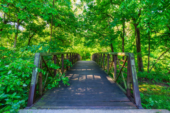 Forest Walking Path at Waterford Place Apartments & Townhomes, Overland Park, KS