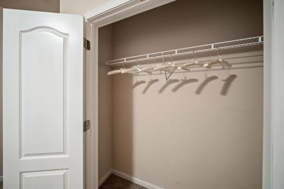 A white door is open to a closet with clothes hangers.
