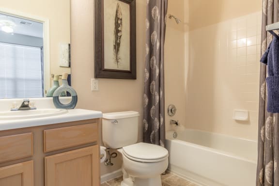 Custom Look Bathroom at Crowne Chase Apartment Homes, Kansas, 66210