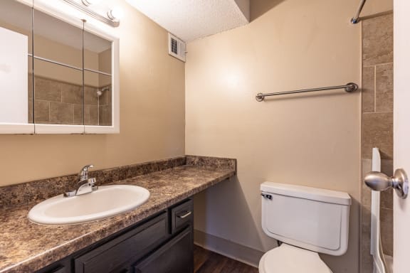 Bathroom interior1at Preston Court Apartments, Overland Park