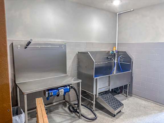 Modern pet washing station at The Dorset Apartments featuring elevated stainless steel wash tub, hose attachment, and grooming dryer.