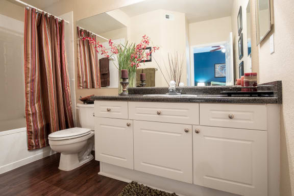 primary bathroom within two bedroom apartment at Wade Crossing Apartment Homes , Texas 75035