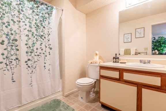 Modern Bathroom at Millcreek Woods Apartments, Olathe, 66061
