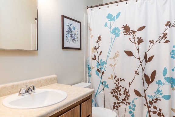 Bathroom1 at Cloverset Valley Apartments, Missouri