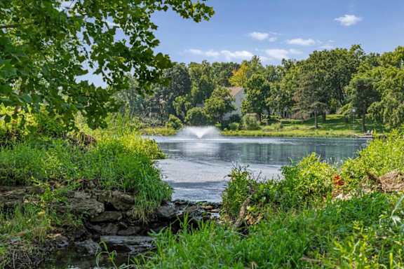 Community lake featuring a decorative fountain, shoreline landscaping, and mature trees.