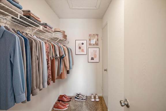 Large walk-in closet with shelving, hanging storage, and room for organization.