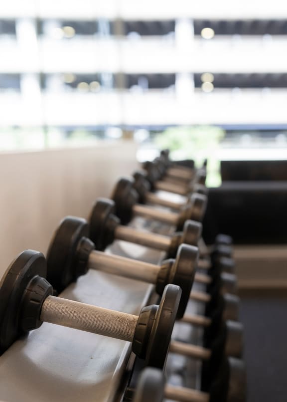 a row of dumbbells in a gym at Sky on Main in MO