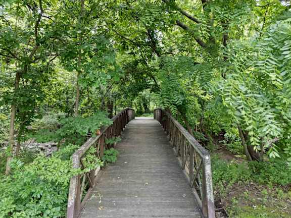 A wooden bridge leads through a lush green forest.
