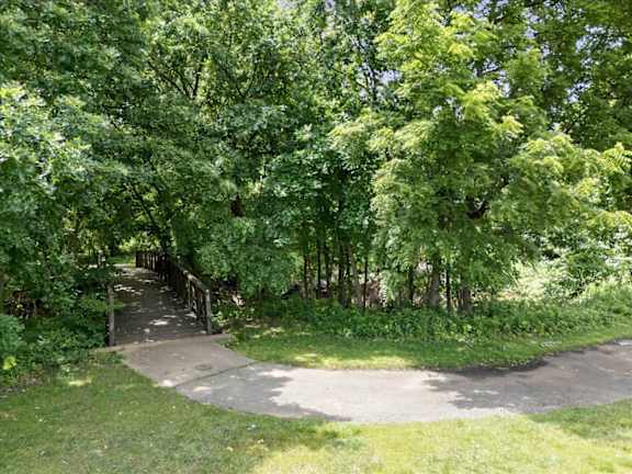A pathway surrounded by green trees.