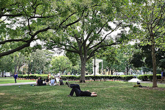 people laying on the grass in a park