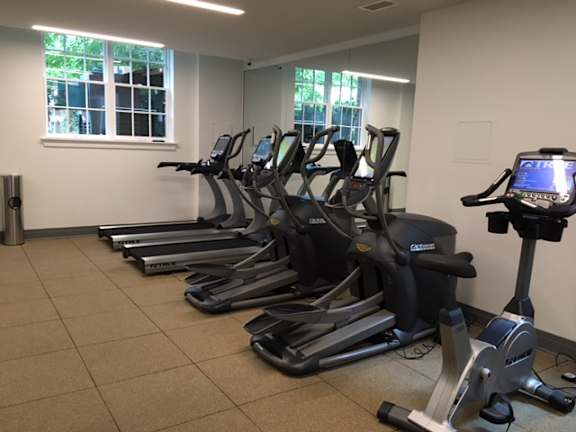 A row of treadmills are lined up in a gym.
