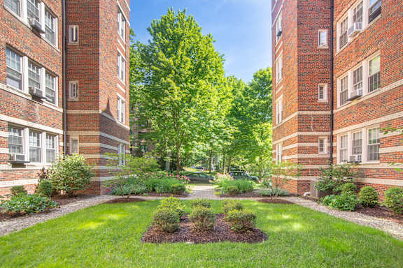 A courtyard with a lawn and a tree in the middle of two brick buildings.