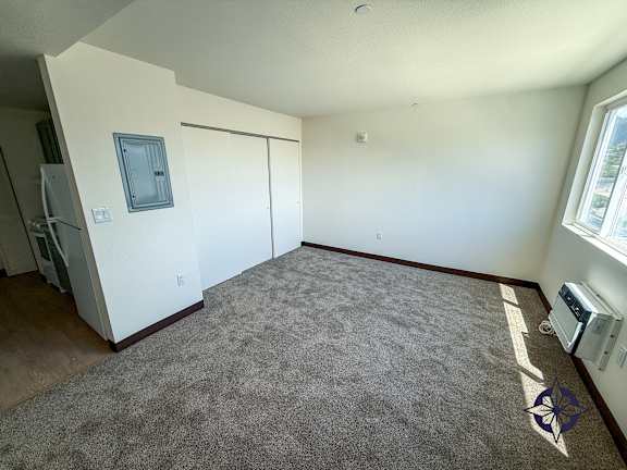 A room with a grey carpet and a window on the right side.