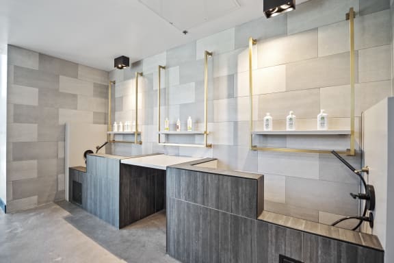 Pet Spa Apartment North Scottsdale