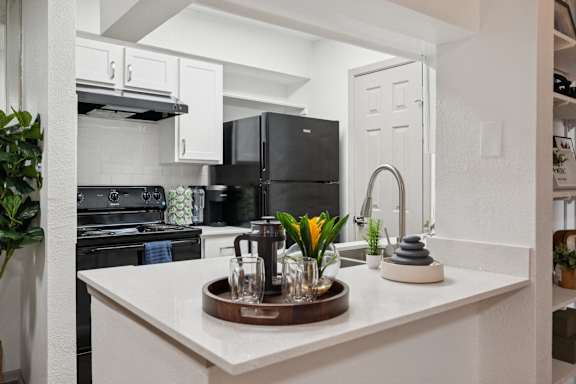 A kitchen with a black fridge and stove, a white counter, and a wooden tray with a plant on it.