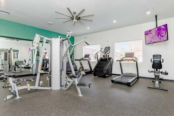 A well-equipped home gym with a variety of exercise machines.