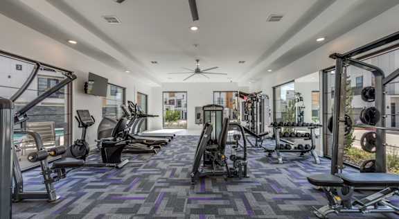 A spacious gym with a variety of equipment and a purple carpet.