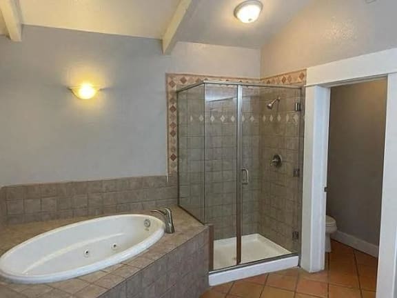 a bathroom with a large tub and a shower
