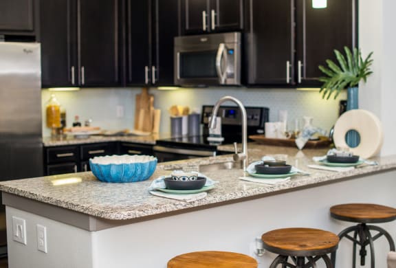 gourmet kitchen in houston texas apartments