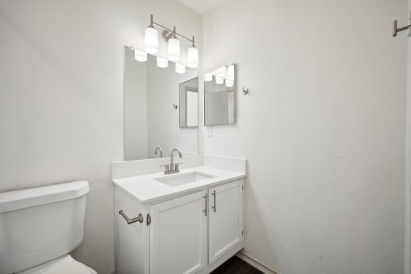 a bathroom with a sink and a mirror and a toilet