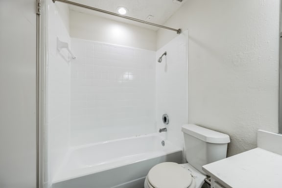 a bathroom with a tub and a toilet and a sink