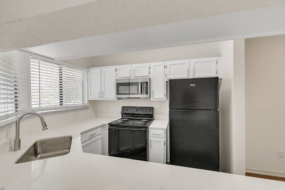 a kitchen with a black refrigerator and a sink