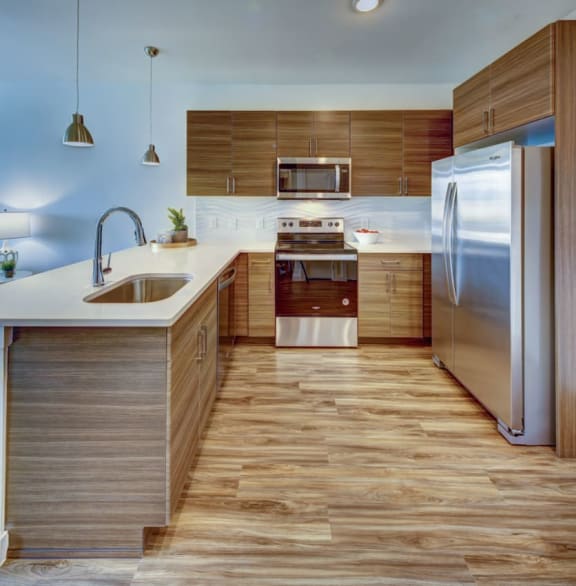 Stainless Steel Appliances  at Brixton South Shore, Austin, TX, 78741