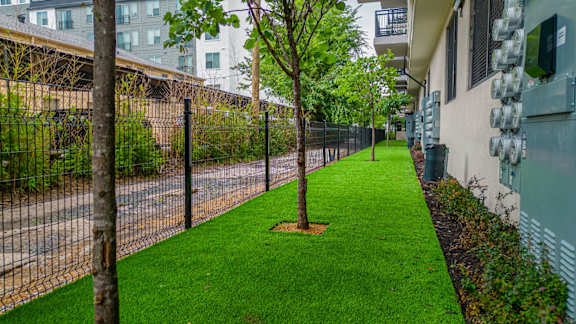 A tree stands alone in a grassy area between two fences.