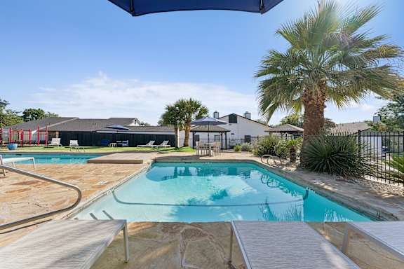 A pool with a slide and a palm tree.