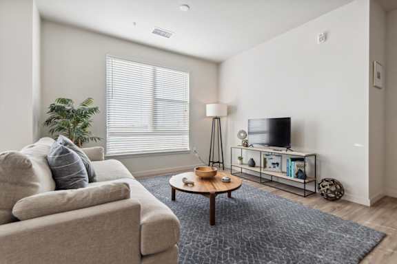 A living room with a couch, a coffee table, a television, and a plant.