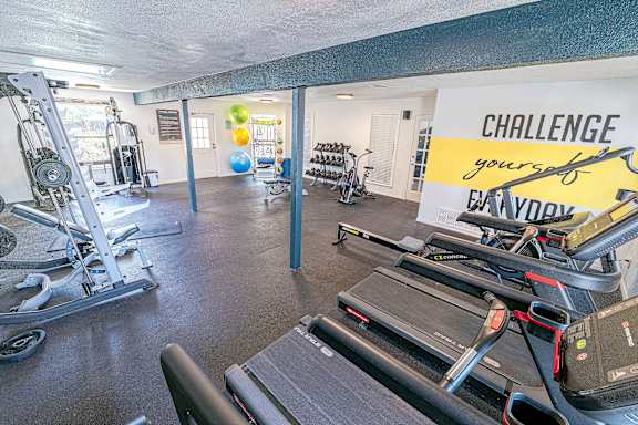 A gym with a treadmill, weights, and exercise balls.
