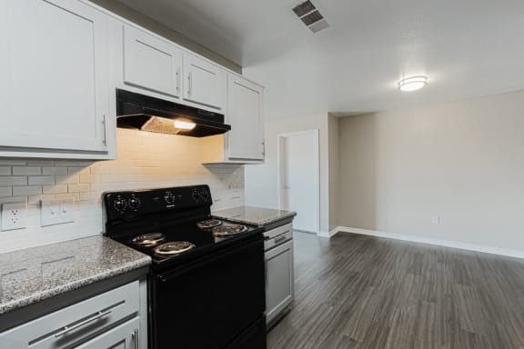 luxury kitchen in houston apartments