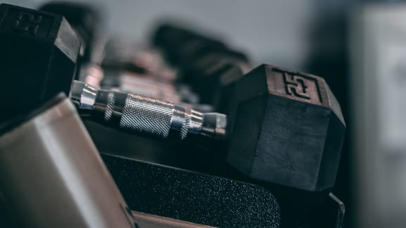 a bunch of dumbbells are lined up next to each other