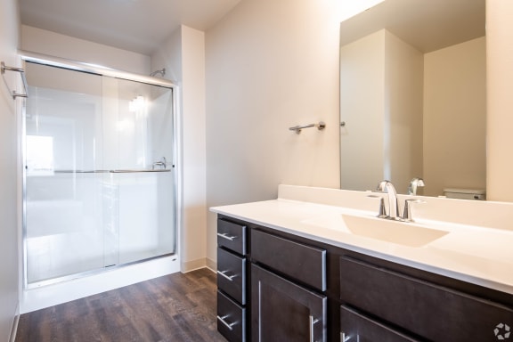 a bathroom with a large mirror and a sink and a shower