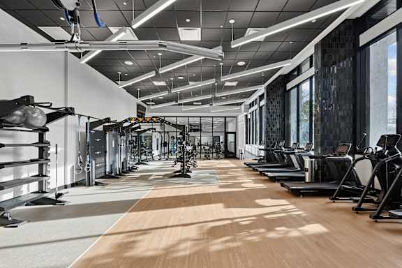 A gym with treadmills, weights and other equipment.