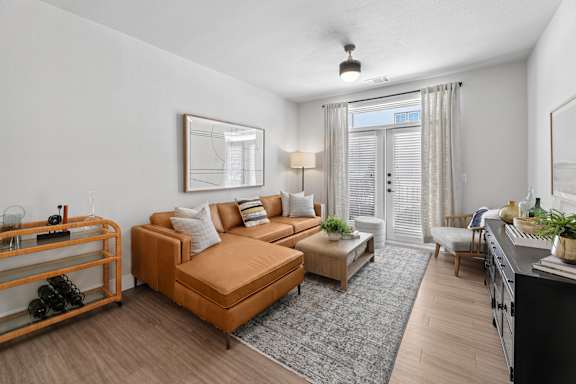 A living room with a brown sofa and a grey rug.
