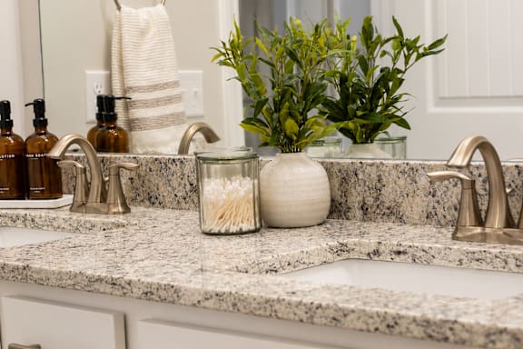 A bathroom sink with a plant and a vase on it.