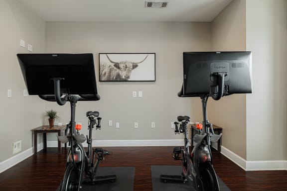 a home gym with exercise bikes and a bull painting on the wall