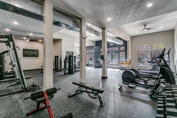 A gym with a variety of equipment including treadmills, weights, and a bench.