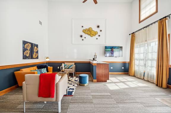A living room with a grey carpet and a blue and white rug.
