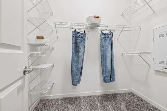 Spacious Closet at Coya Apartments, Las Vegas, 89102